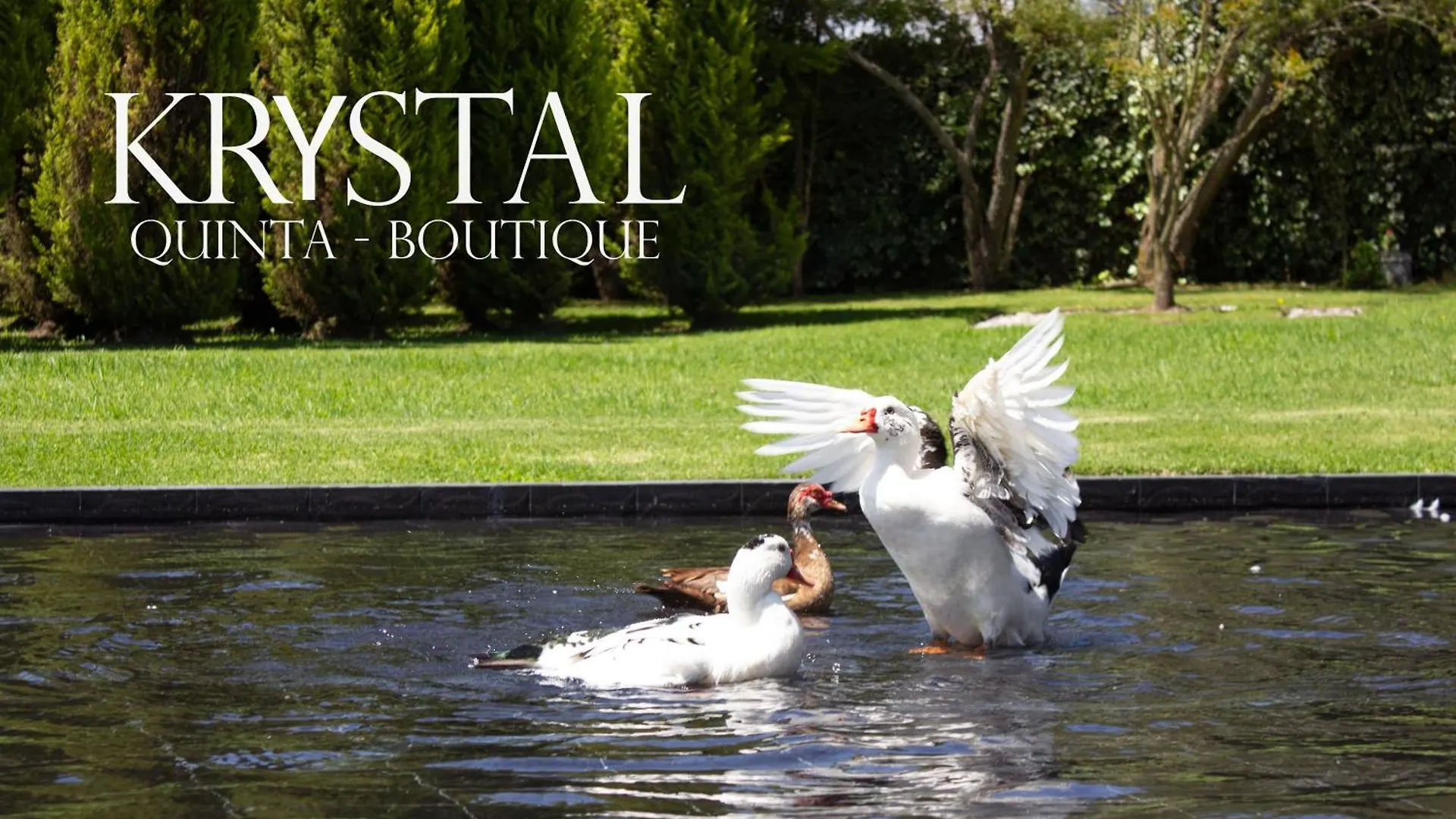 Hotel Boutique Krystal Quito 3*,  Ecuador