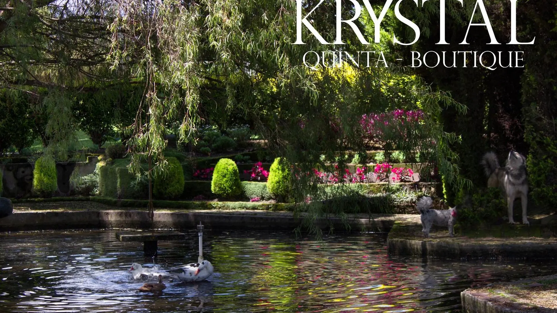 Hotel Boutique Krystal Quito